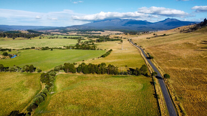 A winding road between lush green fields , seen from above