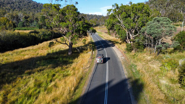 A winding road between lush green fields , seen from above
