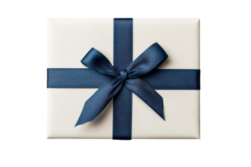 White gift box with neat navy ribbon