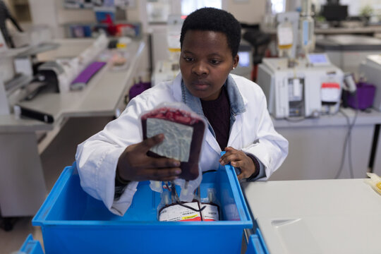 Scientist in laboratory examining blood bag, ensuring quality and safety standards