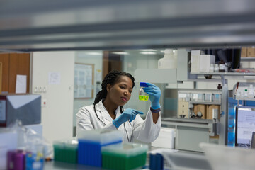 Examining chemical sample, African American scientist focused on research in laboratory, copy space