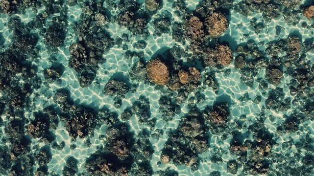 Lagon Puna'auia avec vue sur les coraux 