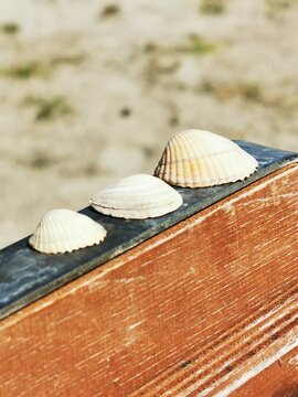 Feeling on Beach