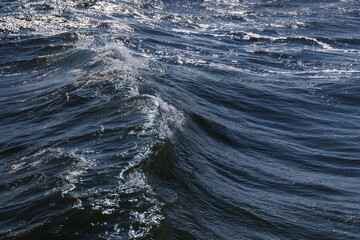 Glistening ocean waves gently crest under the sunlight, evoking tranquility