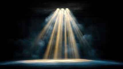 Spotlight on a dark stage