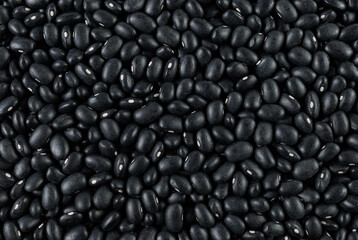 black beans, phaseolus vulgaris, close-up detailed view