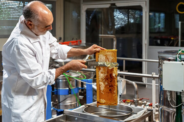 Beekeeper preparing honeycomb for honey extraction