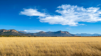 Obraz premium Expansive Golden Wheat Field Under Blue Sky with Mountain Range in Background Sunlight and Clouds