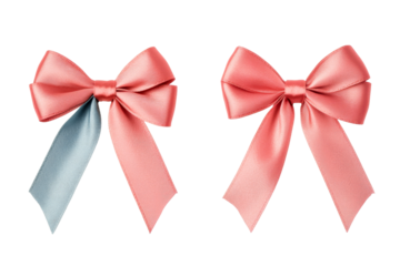 Elegant silk bows on a transparent background