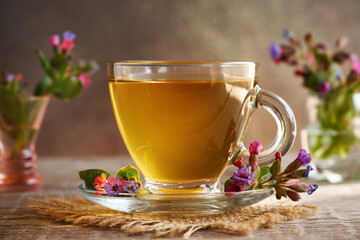 A cup of herbal tea with fresh lungwort or pulmonaria flowers harvested in early spring