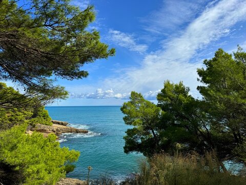 Blue sea, beautiful sky and rocky coastline overgrown pines.