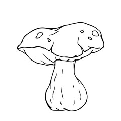 Line sketch,contour of a forest porcini mushroom.Vector graphics.