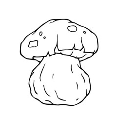 Line sketch,contour of a forest porcini mushroom.Vector graphics.