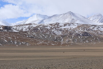 tibetan plateau