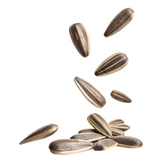 Sunflower Seeds: High-Res Food Image