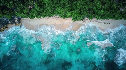 Tranquil beach from above. Lush tropical vegetation meets turquoise ocean
