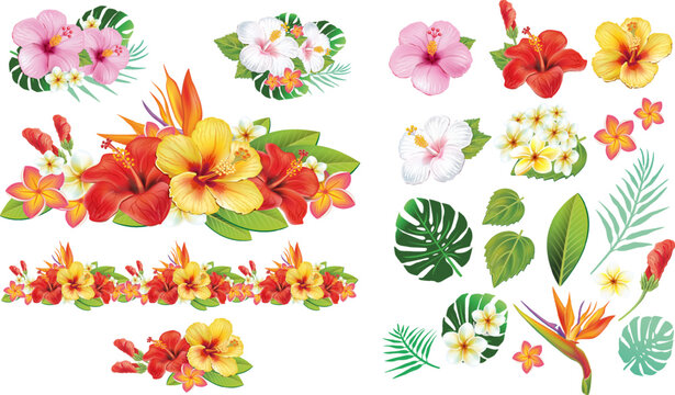 Fototapeta Tropical Hibiscus Flower Composition with Separate Elements for Designs and Custom Arrangements