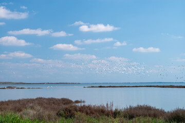 clouds over the lake