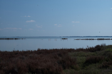 lake and sky