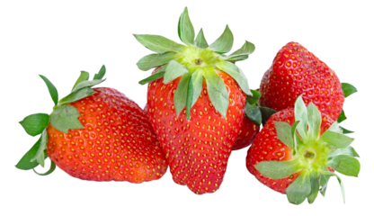 Fraises Gariguette
