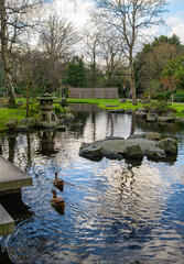 Serene Japanese Garden in Holland Park London