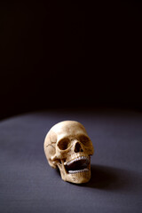 Artificial very realistic human skull on the table. Copy space. Dark background