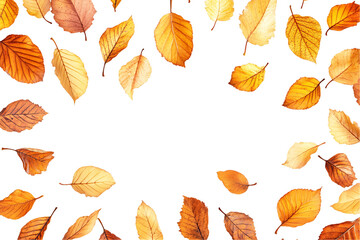 Falling autumn leaves with warm tones against a transparent background.  Perfect for seasonal designs, PNG