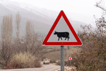 Livestock Crossing Sign on Rural Road
