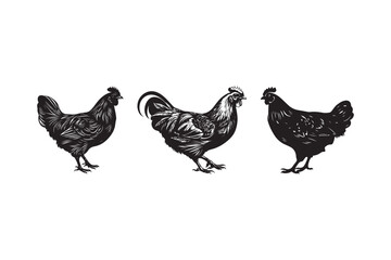 Black Silhouette Chicken Vector Rooster and Hen Clipart Farm Poultry Illustration