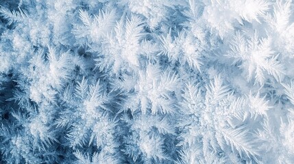 Obraz premium Detailed Close-up of Frosty Ice Crystals on Snowy Surface