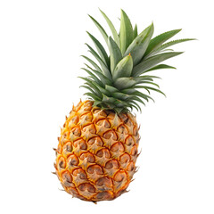 Fresh Pineapple Fruit Image