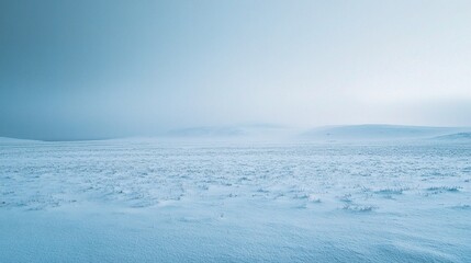 Obraz premium Expansive Snowy Flat Field in Norwegian Landscape Under Soft Light