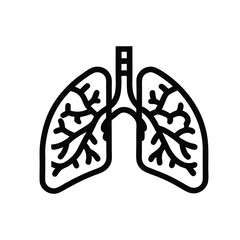 Lungs vector on white background 