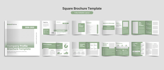 Business profile brochure layout template design	
