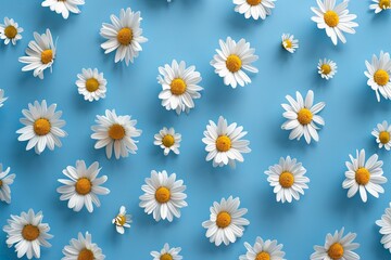 Chamomile flowers arranged flat on a blue background showcasing repetition and vibrant colors in spring and summer Generative AI