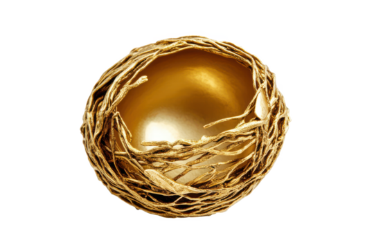 Golden Egg in Intricate Branch Nest Luxury Decorative Bowl, 3D Render