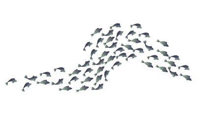 AA school of small silver fish. Vector illustration isolated on white background.