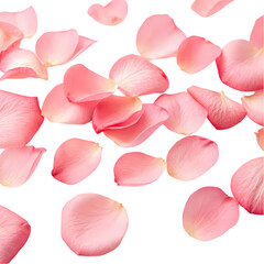 Pink Rose Petals: Beautiful Background Texture