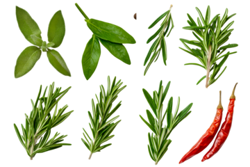 Fresh rosemary, sage, and chili peppers on a clear bg