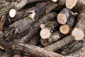 Pile of freshly cut firewood logs with rough bark