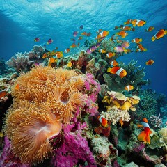 Fototapeta premium A vibrant coral reef teeming with marine life, with a school of clownfish swimming among the colorful corals and clear turquoise waters.