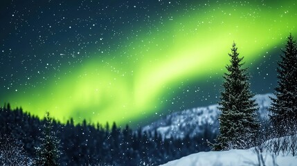 Northern Lights over Snowy Forest