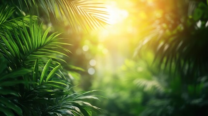 Obraz premium Lush tropical foliage, sunlight through leaves, jungle background, nature scene