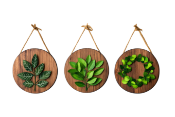 Wooden wall hangings with harmoniously arranged green leaves