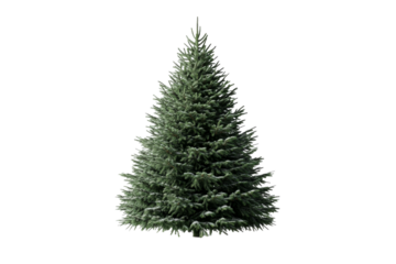 Christmas tree standing tall with lush green branches and needles