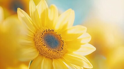 Naklejka premium A sunflower with a blue center surrounded by yellow sunflowers and a blue sky