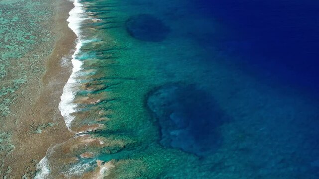 Reef du lagon 