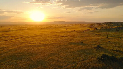 Obraz premium A breathtaking sunset over a vast savannah landscape, with silhouettes of wildlife grazing peacefully