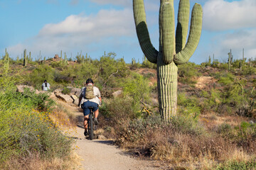 Mountain Bikers Riding On Desert Trail With Cactus  In Scottsdale Arizona During Spring Time