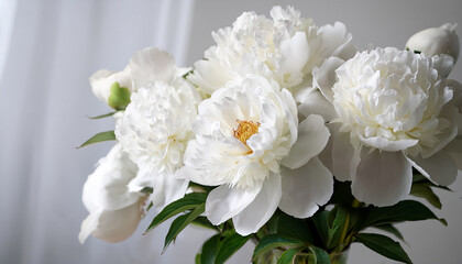 Bouquet of beautiful peonies. White peony flowers. Close-up of flower petals. Floral wallpaper. Delicate abstract floral pastel background. Greeting card. Generated AI